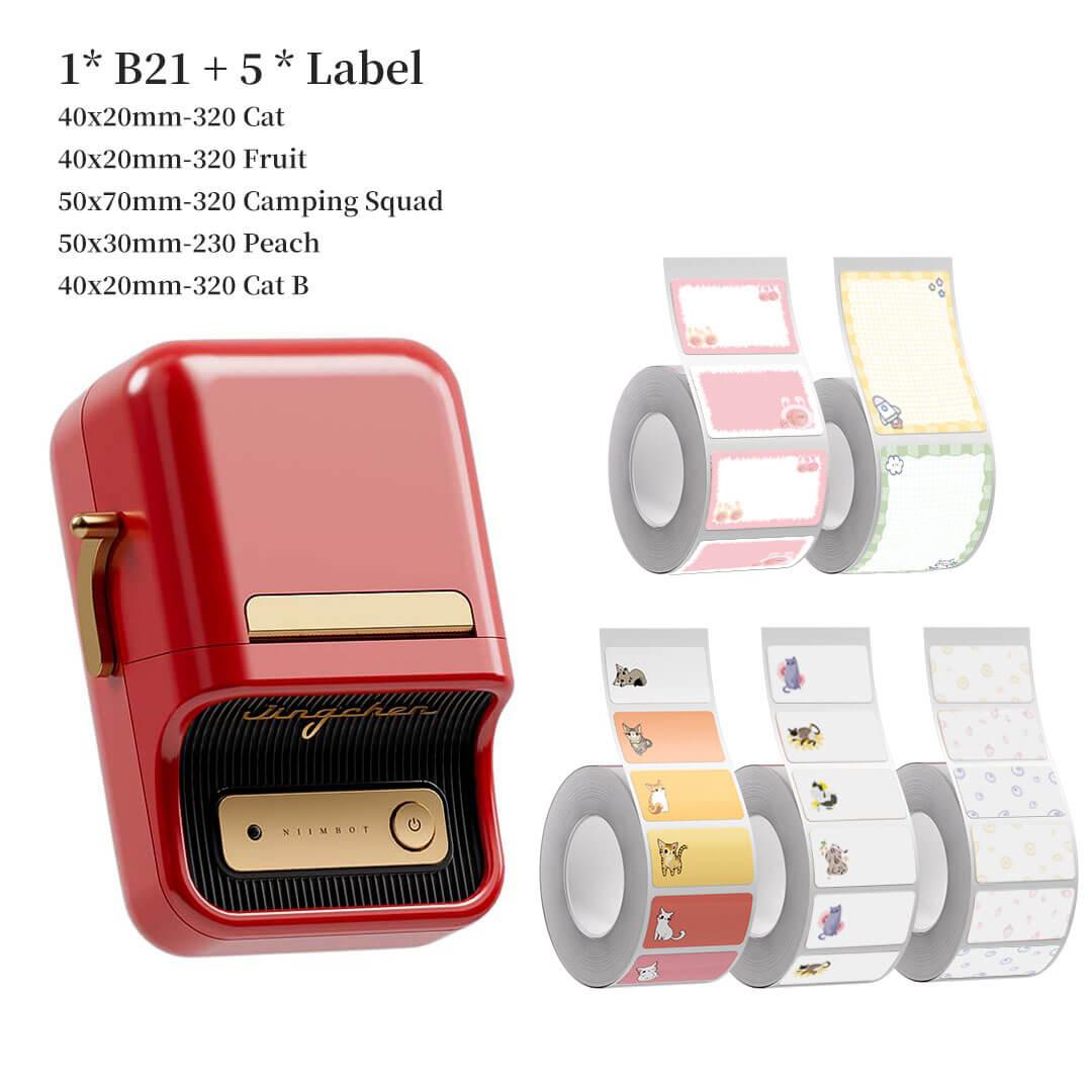 NIIMBOT B21 Bluetooth Thermal Kitchen Storage Labels Printer, Efficient for Home, Support PC&Phone
