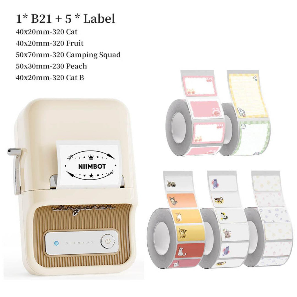 NIIMBOT B21 Bluetooth Thermal Kitchen Storage Labels Printer, Efficient for Home, Support PC&Phone