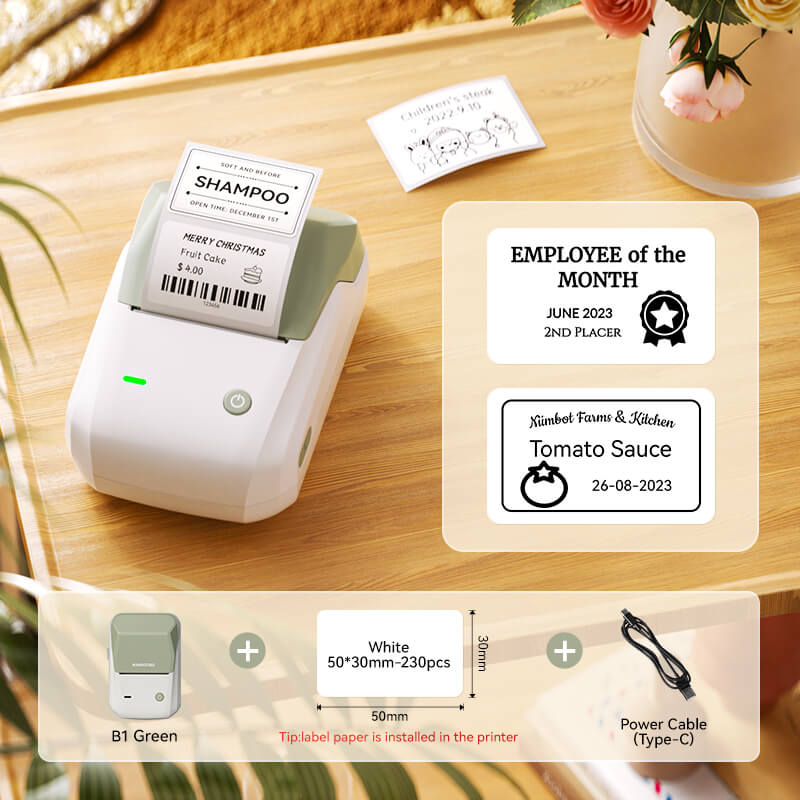 NIIMBOT B1 Thermal Logistics Label Printer, for Shipping Packages, Support Android, iPhone, Windows