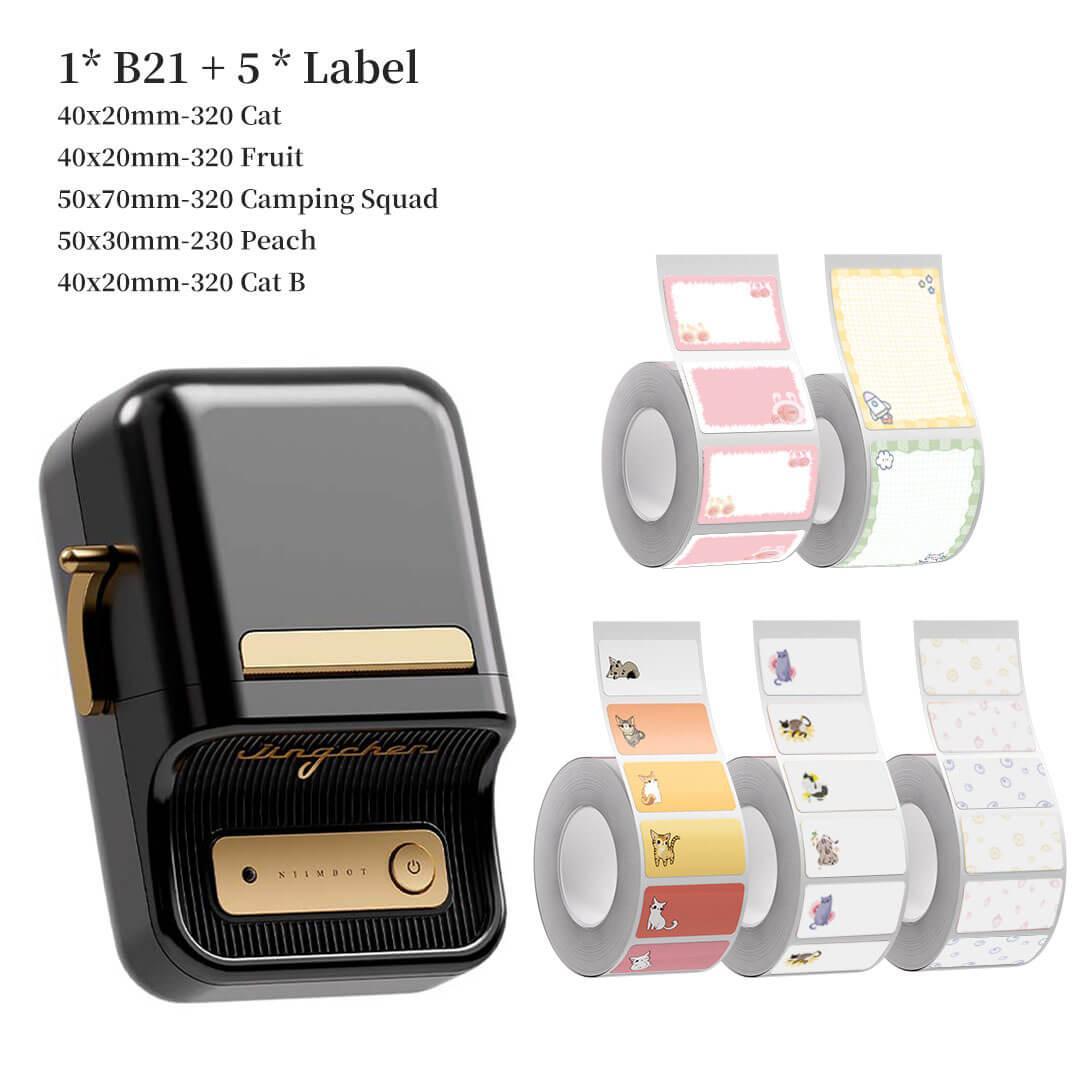 B21 Label Maker and Label Tape Set