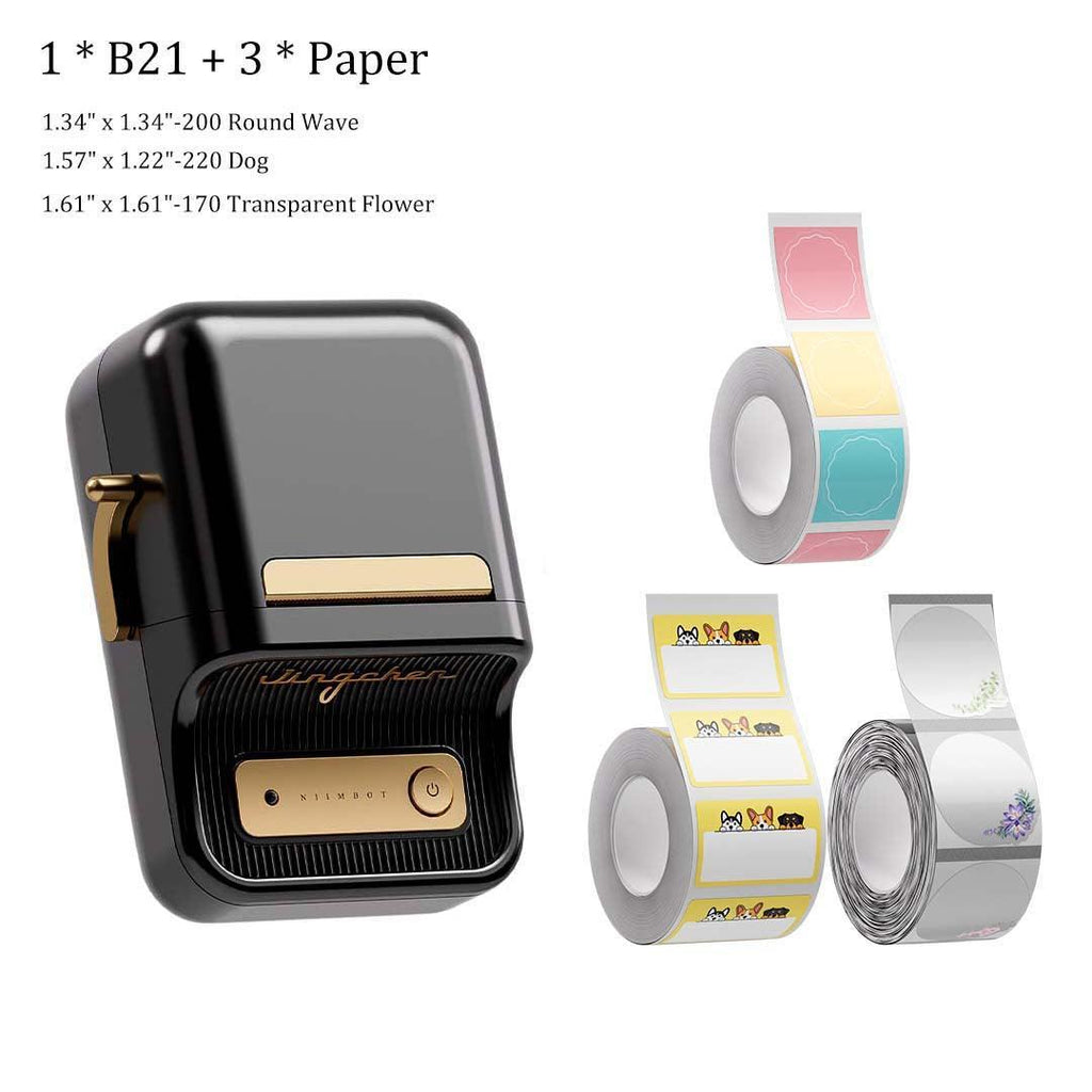 B21 Label Maker and Label Tape Set