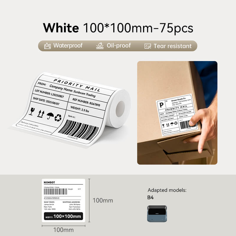NIIMBOT B4 Inkless Thermal Label Maker for Shipping Label, Idea for bussiness&offices